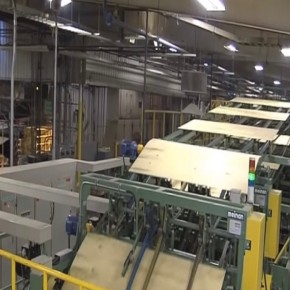 Plywood Manufacturing Process