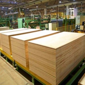Production of plywood