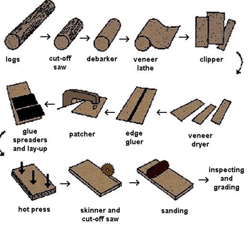 making plywood from wood
