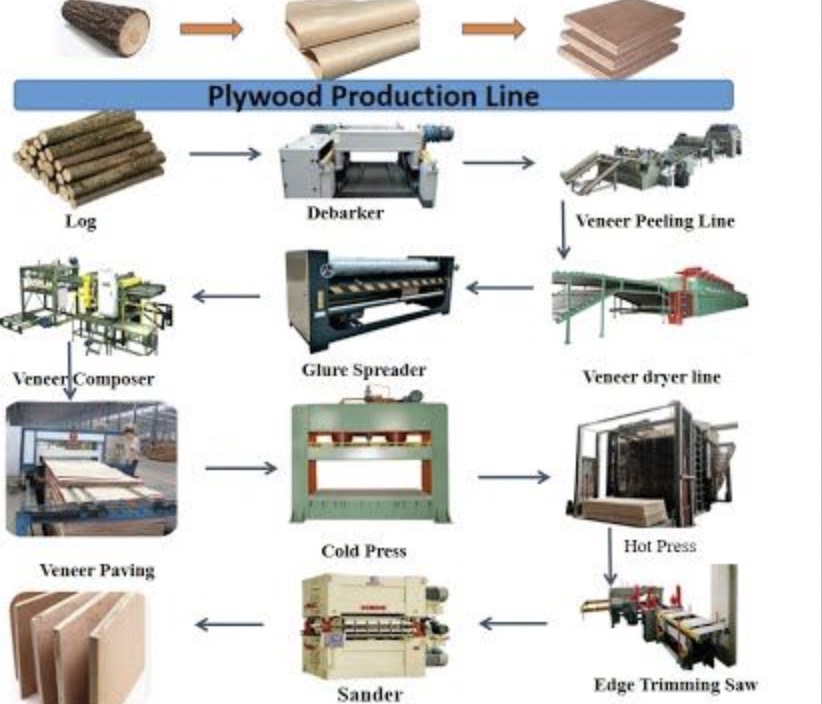 Production Process of Plywood