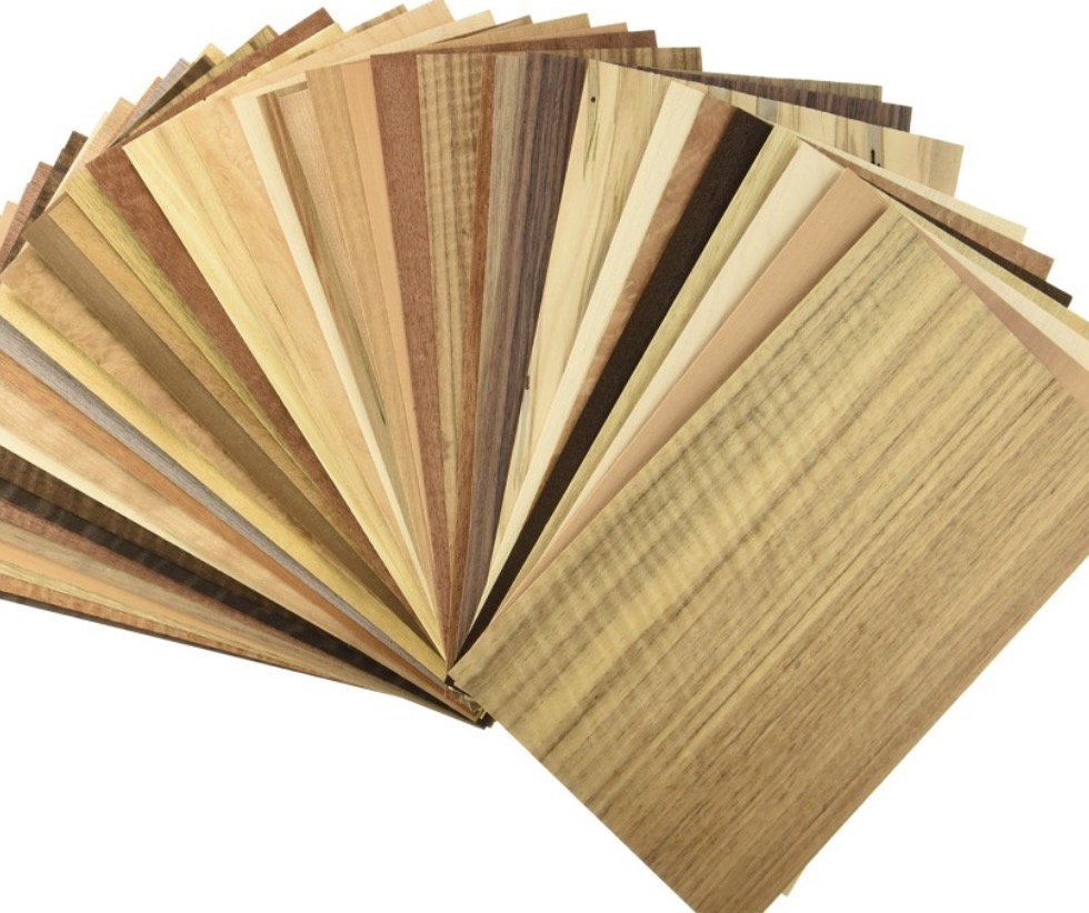 Different Methods of Veneer Cutting